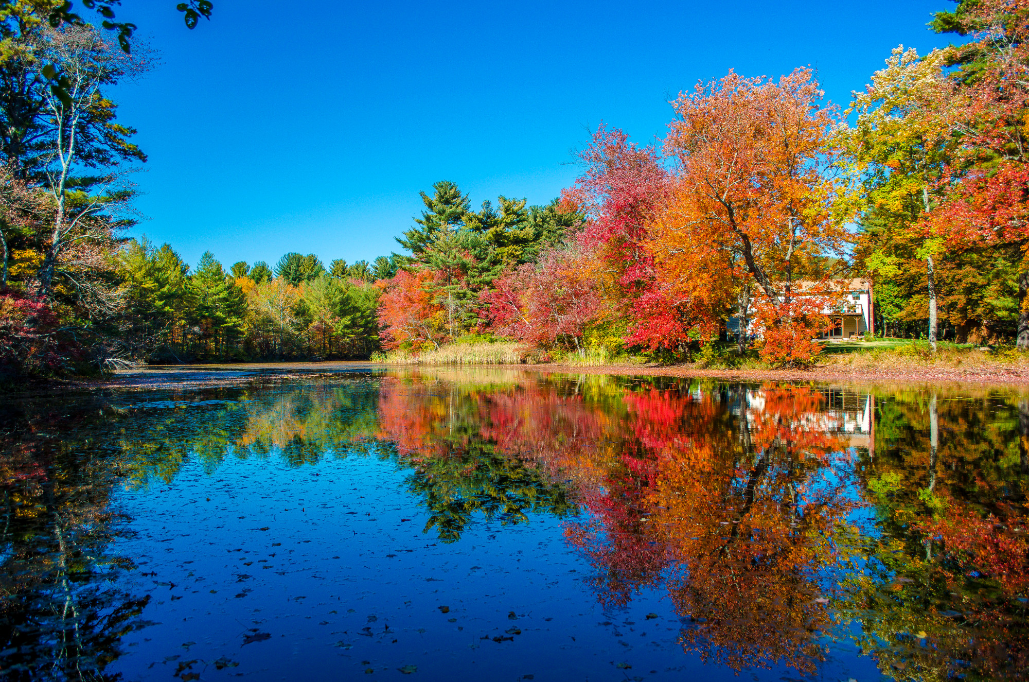 Coventry RI on a sunny day with a water view and colored leaves on the trees.